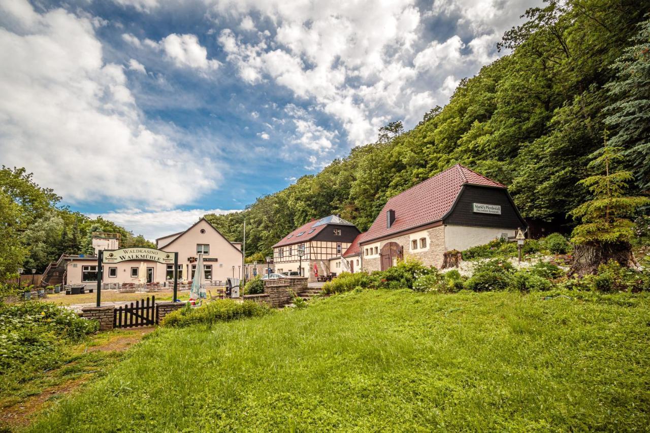 Pension Walkmuehle Sangerhausen Kültér fotó